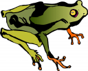 frog_tree_98634_tns.png