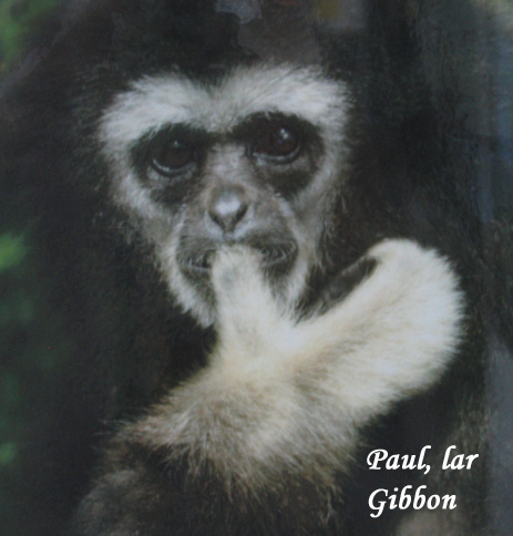paul970908.jpg