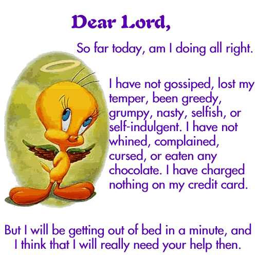 tweety6.jpg
