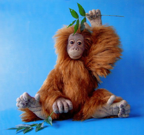 JambiOrangutan.jpg