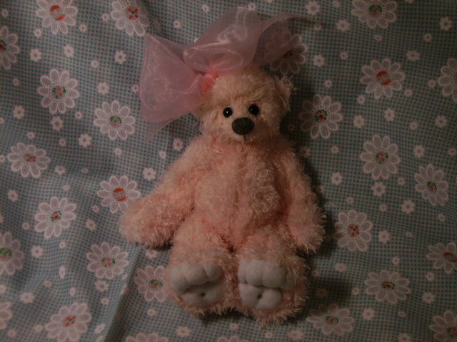 bears-14-june-07-038.jpg