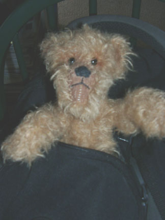 lois-in-computer-bag.jpg