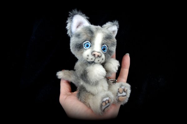 1399038051_cat20.jpg