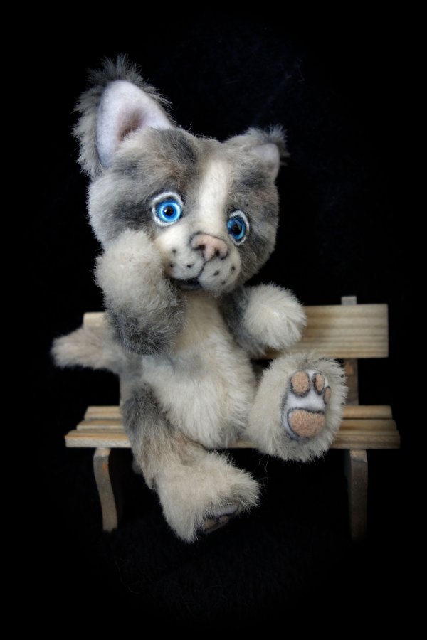 1399038070_cat15.jpg