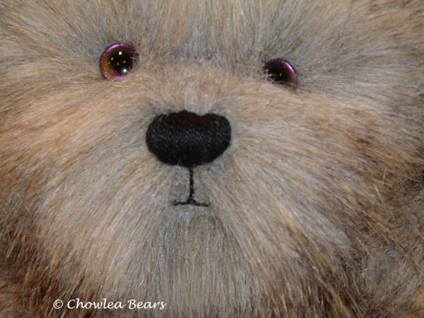 Chowlea-Bears-Detailed-head.jpg