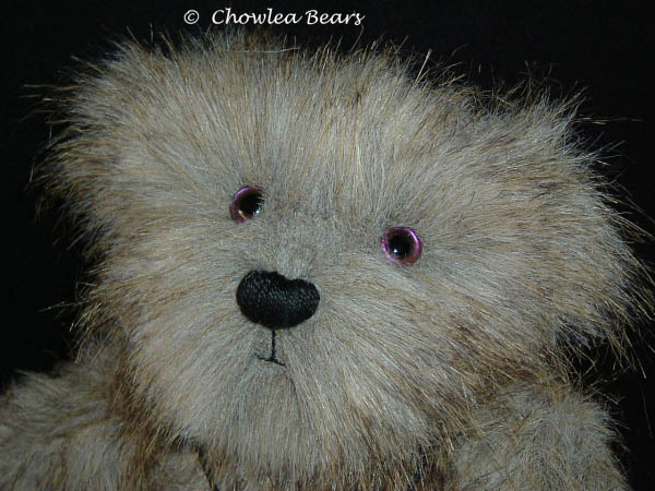 Chowlea-Bears-Face.jpg