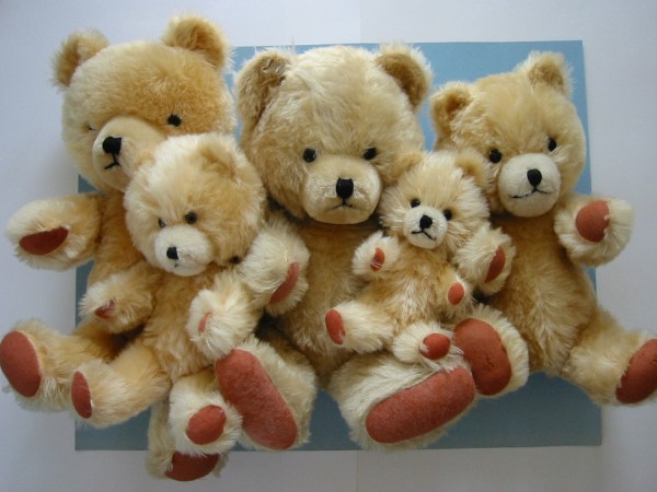 Mystery-bears-sized.JPG