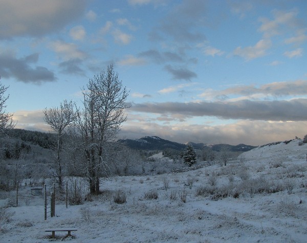 Winter-scene.JPG