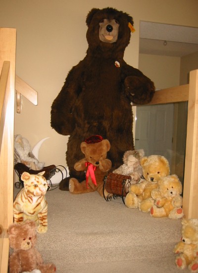 collection4.JPG