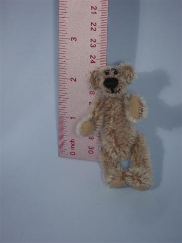 PICT0005_Small.JPG
