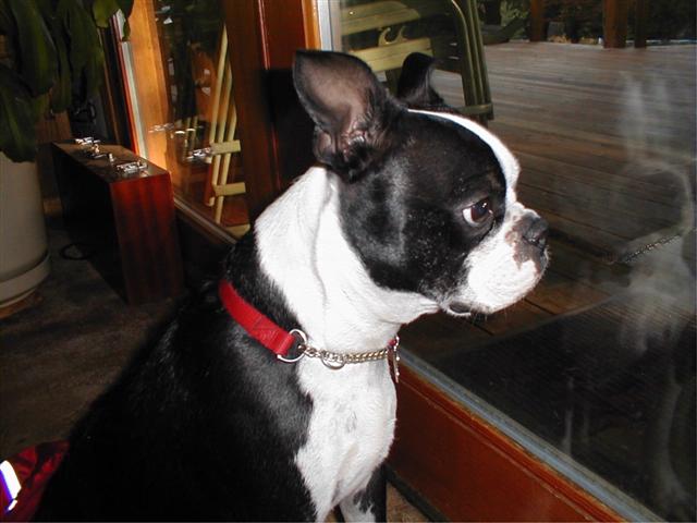 buster_Small.jpg
