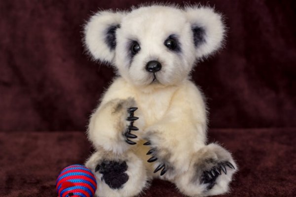 1404097588_bear-1_640x427.jpg