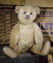 steiff_c_1910.jpg
