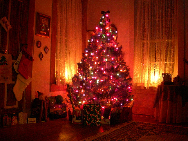 our07tree.JPG