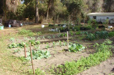 1garden011408.jpg