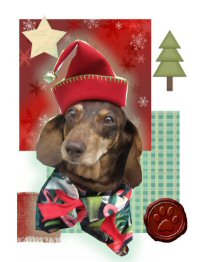 lucyxmasgiftcdsml2.jpg