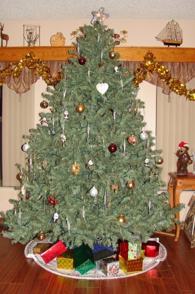 tree07.jpg