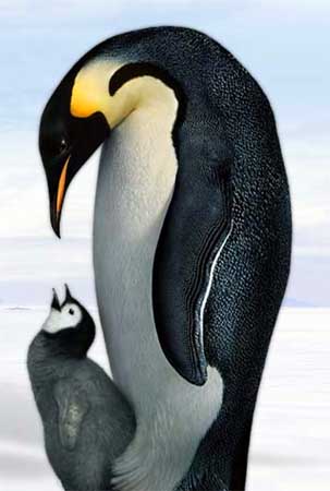 1386169948_2_penguins.jpg
