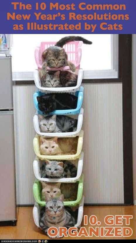 1406771279_funny-pictures-cats-get-organized-10.jpg