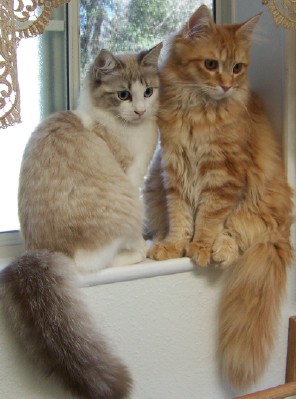 Carly_and_Lexi_3-23.jpg