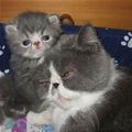 Hey_Mom_Wake_Up_s.jpg