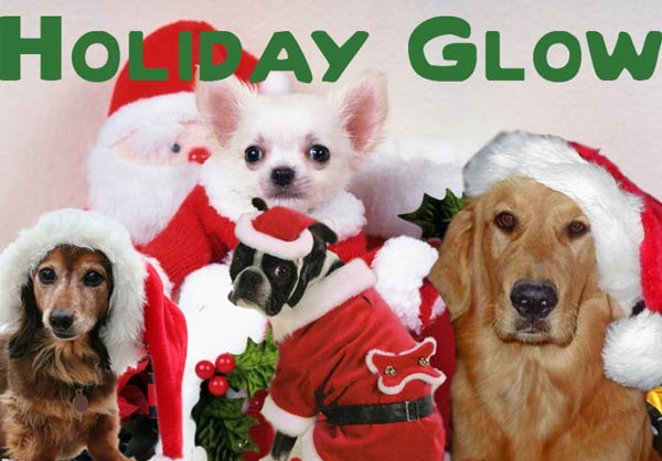 christmas-dogs-2.jpg