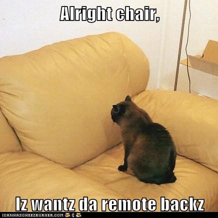 funny-pictures-alright-chair-iz-wantz-da-remote-backz.jpg