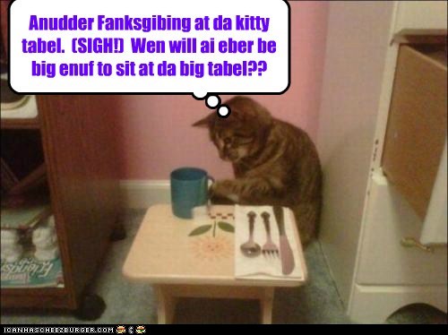 funny-pictures-anudder-fanksgibing-at-da-kitty-tabel-sigh-wen-will-ai-eber-be-big-enuf-to-sit-at-da-big-tabel.jpg