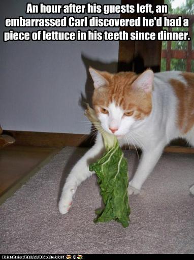 funny-pictures-carl-makes-a-faux-paw.jpg