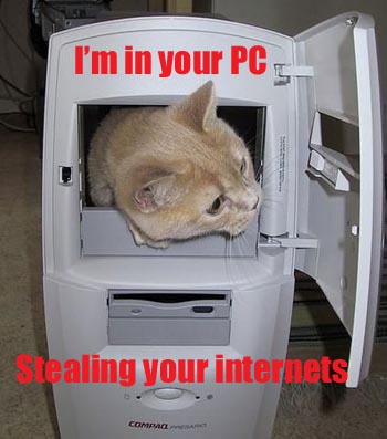funny-pictures-cat-in-cpu.jpg