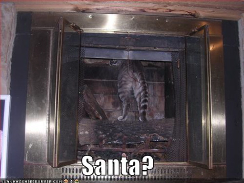 funny-pictures-cat-looks-for-santa-in-fireplace.jpg