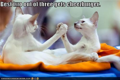 funny-pictures-cats-arm-wrestling.jpg