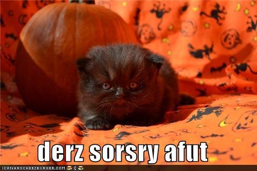 funny-pictures-derz-sorsry-afut.jpg