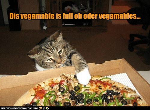 funny-pictures-dis-vegamable-is-full-ob-oder-vegamables.jpg