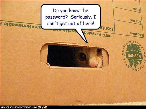 funny-pictures-do-you-know-the-password-seriously-i-cant-get-out-of-here.jpg