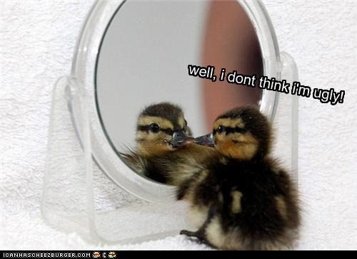 funny-pictures-dont-kno-wat-deyr-talkin-about.jpg