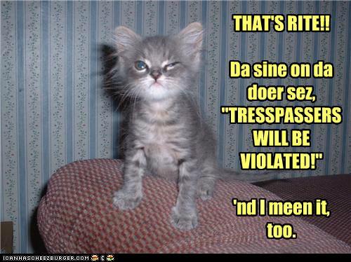 funny-pictures-dont-mess-wif-da-kitteh.jpg