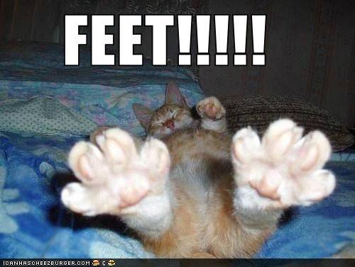 funny-pictures-feet.jpg