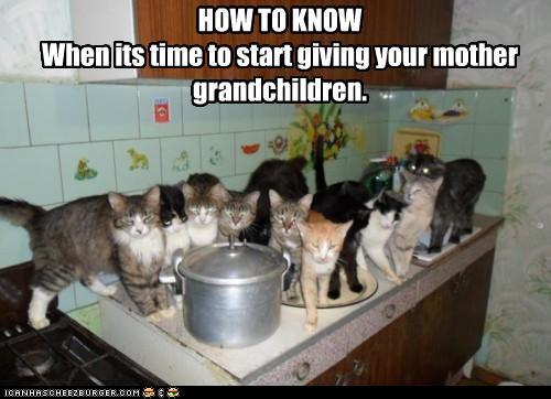 funny-pictures-how-to-know-when-its-time-to-start-giving-your-mother-grandchildren.jpg