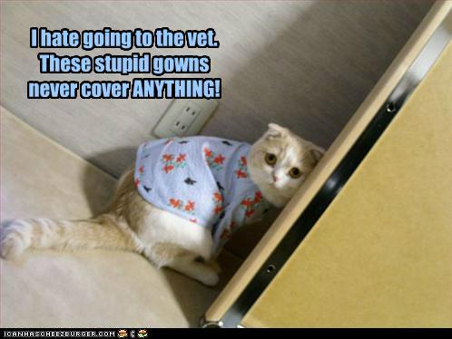 funny-pictures-i-hate-going-to-the-vet-these-stupid-gowns-never-cover-anything.jpg