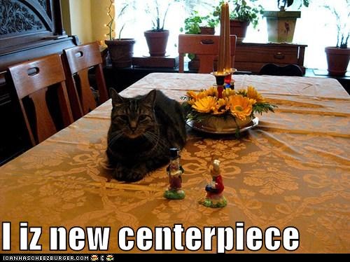 funny-pictures-i-iz-new-centerpiece.jpg