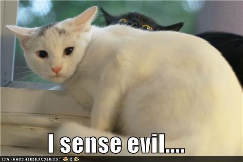 funny-pictures-i-sense-evil.jpg