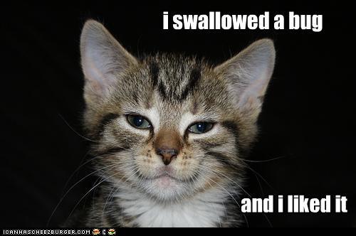 funny-pictures-i-swallowed-a-bug.jpg