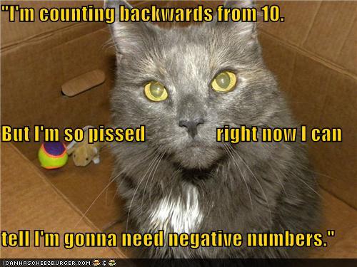 funny-pictures-im-counting-backwards-from-but-im-so-pissed-right-now-i-can-tell-im-gonna-need-negative-numbers.jpg