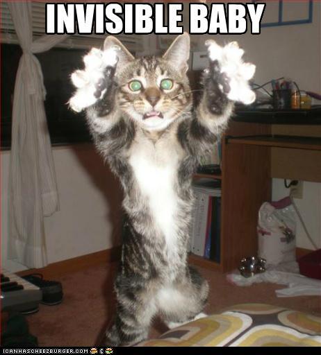 funny-pictures-invisible-baby.jpg