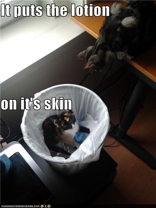 funny-pictures-it-puts-the-lotion-on-its-skin.jpg