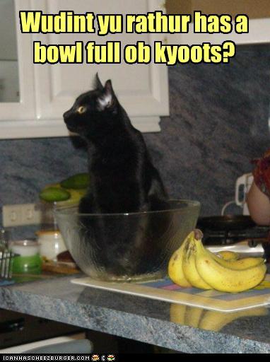 funny-pictures-its-better-fur-yu.jpg