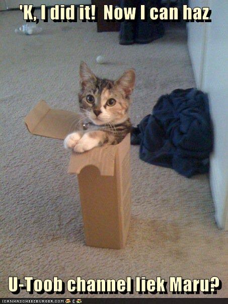 funny-pictures-k-i-did-it-now-i-can-haz-u-toob-channel-liek-maru.jpg