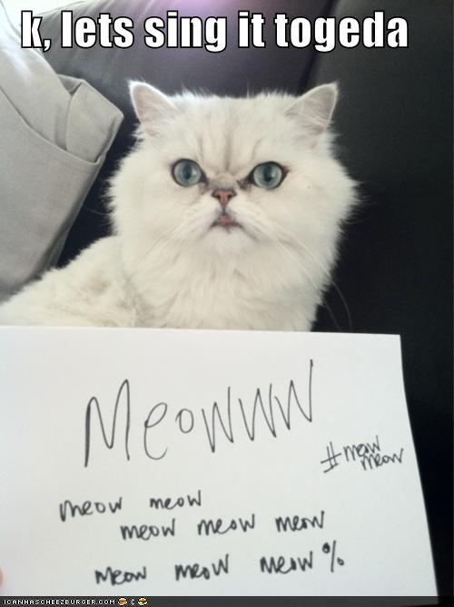 funny-pictures-k-lets-sing-it-togeda.jpg