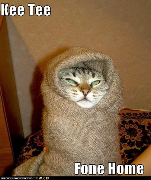 funny-pictures-kee-tee-fone-home.jpg